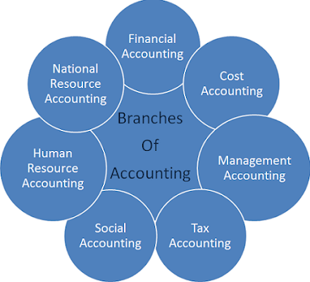 Different Functions of Accounting Branches: Important Thing To Know