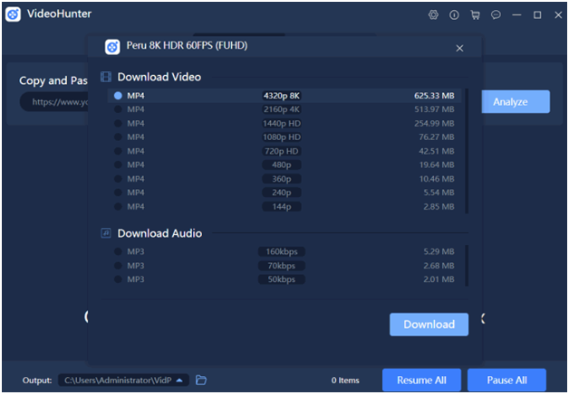Youtube Video Downloader