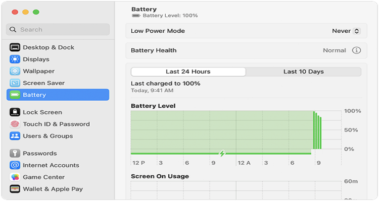 Social Media Campaign