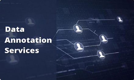 Data Annotation Services: What Are They, And Why Should You Use Them? 