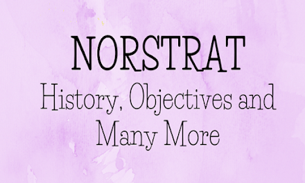 Norstrat: Have a deep understanding of Northern System